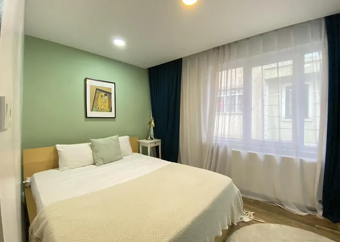 Apartment Comfortable In Fatih